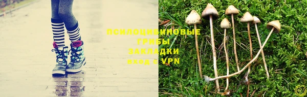дурь Абдулино