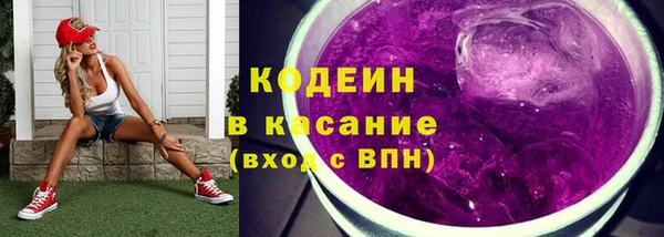 дмт Абаза