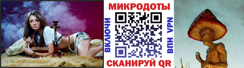 Псилоцибиновые грибы Psilocybe  Балахна 
