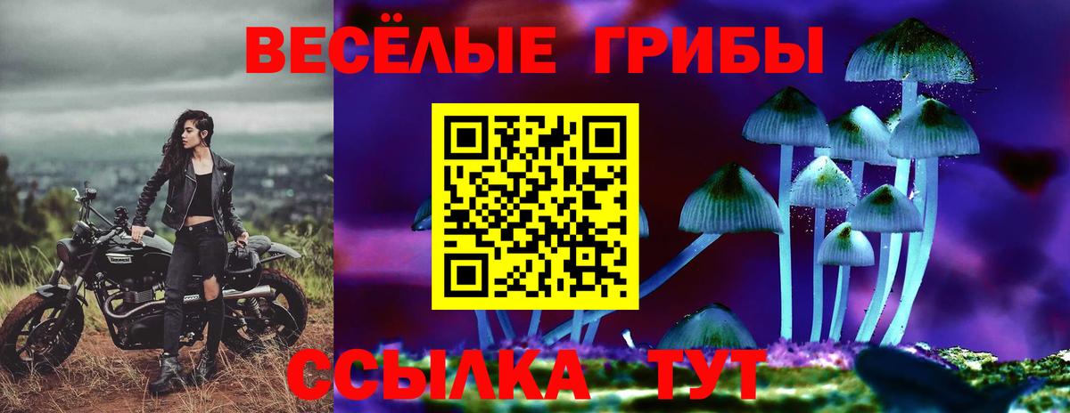 Балахна  Псилоцибиновые грибы мухоморы  Вход с VPN 