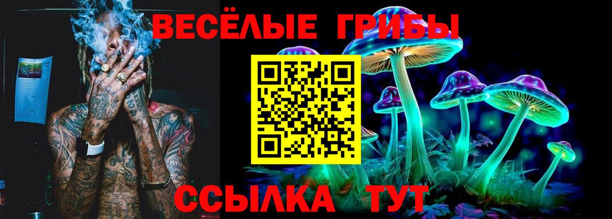 Галлюциногенные грибы ЛСД Балахна